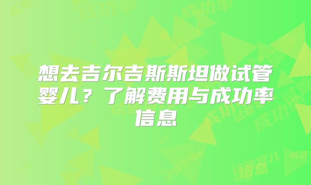 想去吉尔吉斯斯坦做试管婴儿？了解费用与成功率信息