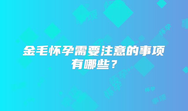 金毛怀孕需要注意的事项有哪些？