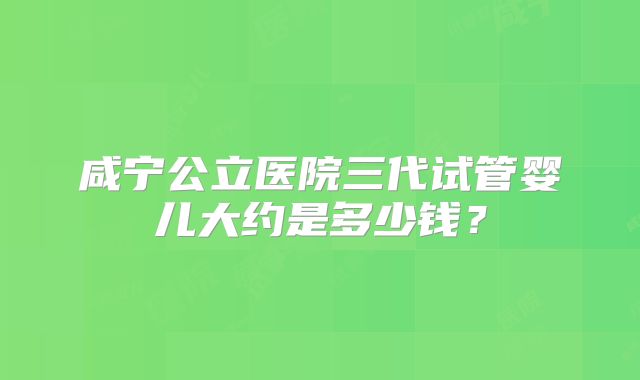 咸宁公立医院三代试管婴儿大约是多少钱?