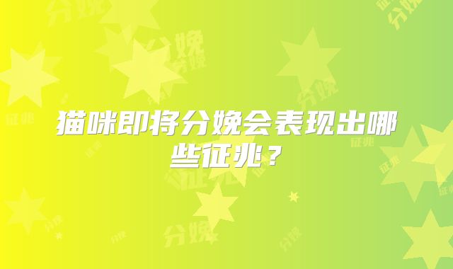 猫咪即将分娩会表现出哪些征兆？