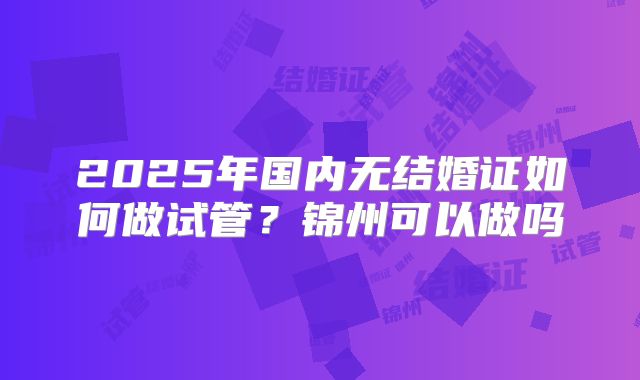 2025年国内无结婚证如何做试管?锦州可以做吗