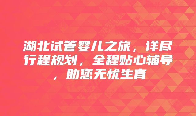 湖北试管婴儿之旅，详尽行程规划，全程贴心辅导，助您无忧生育