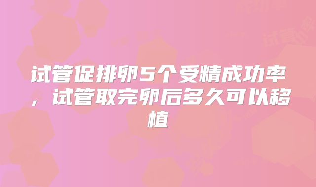 试管促排卵5个受精成功率，试管取完卵后多久可以移植