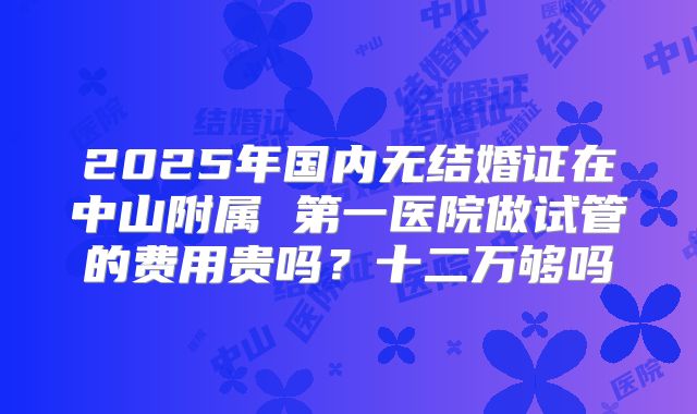 2025年国内无结婚证在中山附属 第一医院做试管的费用贵吗？十二万够吗