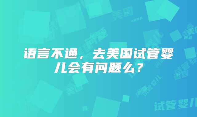 语言不通，去美国试管婴儿会有问题么？