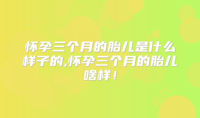 怀孕三个月的胎儿是什么样子的,怀孕三个月的胎儿啥样!