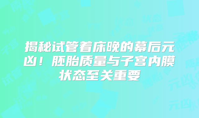 揭秘试管着床晚的幕后元凶！胚胎质量与子宫内膜状态至关重要