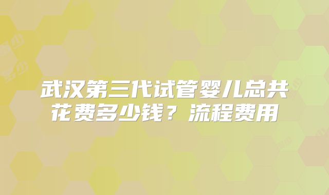 武汉第三代试管婴儿总共花费多少钱？流程费用