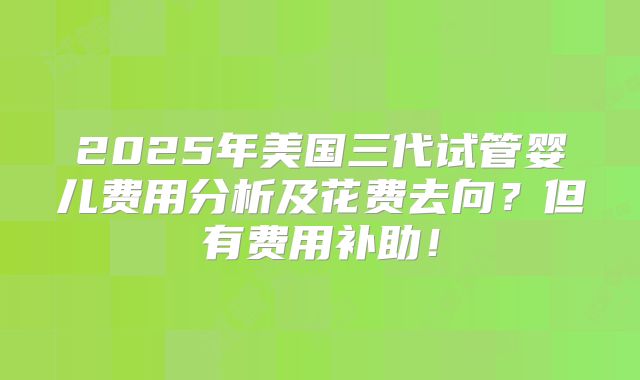 2025年美国三代试管婴儿费用分析及花费去向？但有费用补助！