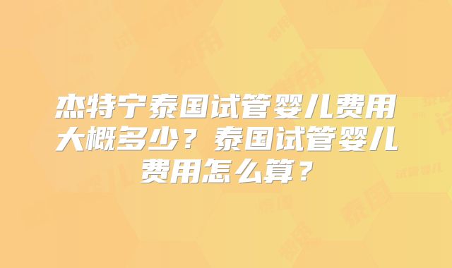 杰特宁泰国试管婴儿费用大概多少?泰国试管婴儿费用怎么算?