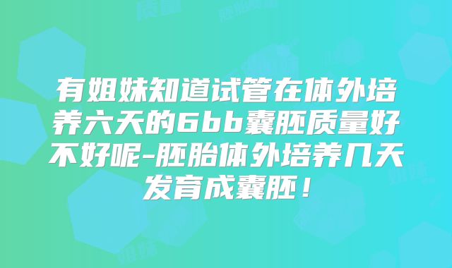 有姐妹知道试管在体外培养六天的6bb囊胚质量好不好呢-胚胎体外培养几天发育成囊胚！