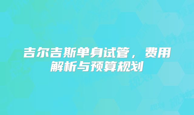 吉尔吉斯单身试管，费用解析与预算规划