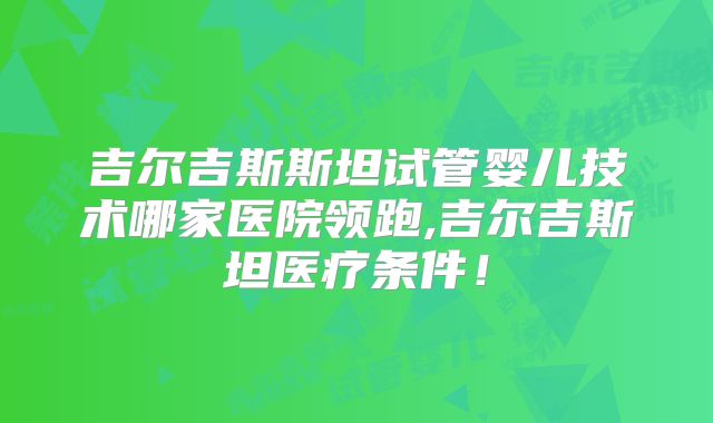 吉尔吉斯斯坦试管婴儿技术哪家医院领跑,吉尔吉斯坦医疗条件！