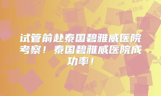 试管前赴泰国碧雅威医院考察!泰国碧雅威医院成功率!