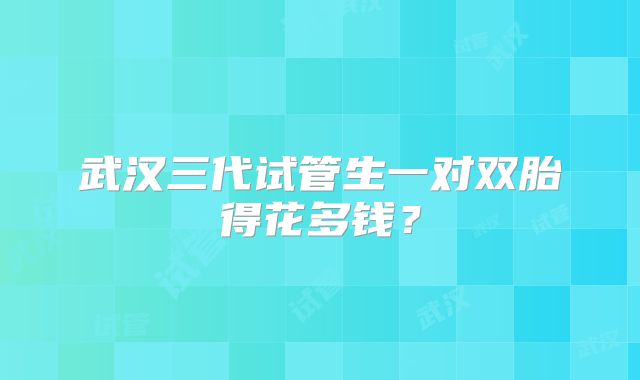 武汉三代试管生一对双胎得花多钱?