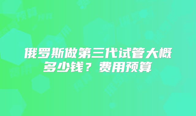俄罗斯做第三代试管大概多少钱？费用预算