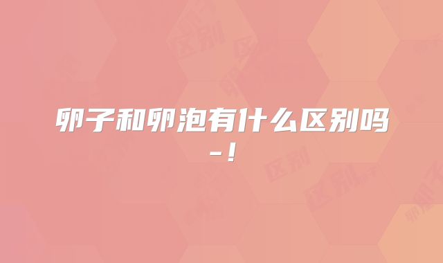 卵子和卵泡有什么区别吗-!