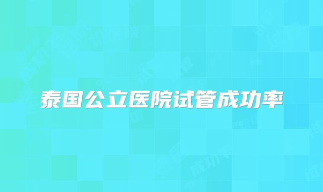 泰国公立医院试管成功率