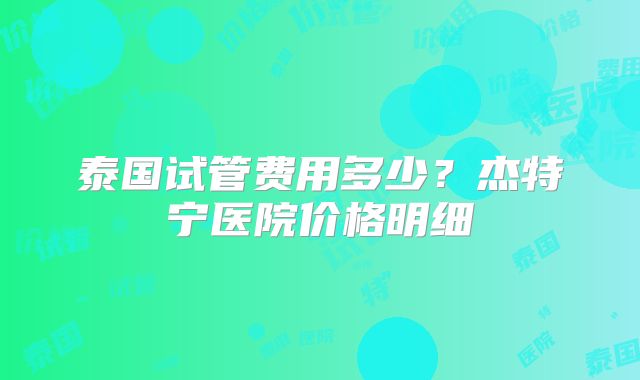 泰国试管费用多少?杰特宁医院价格明细
