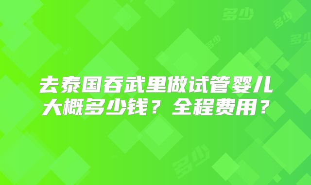 去泰国吞武里做试管婴儿大概多少钱？全程费用？