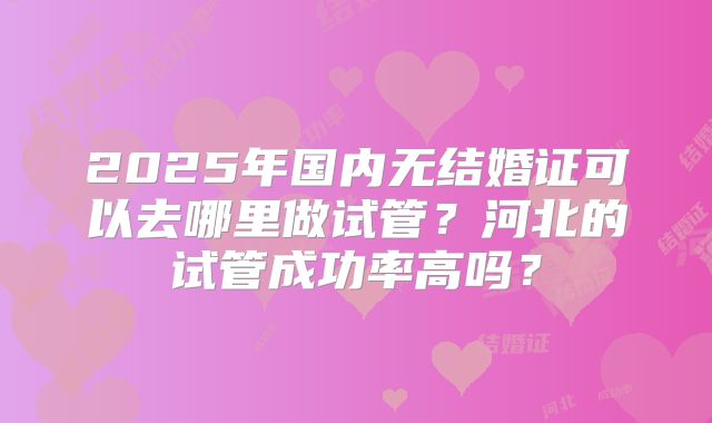 2025年国内无结婚证可以去哪里做试管？河北的试管成功率高吗？