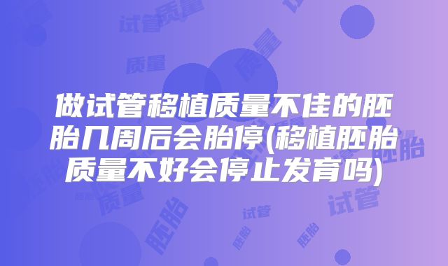 做试管移植质量不佳的胚胎几周后会胎停(移植胚胎质量不好会停止发育吗)