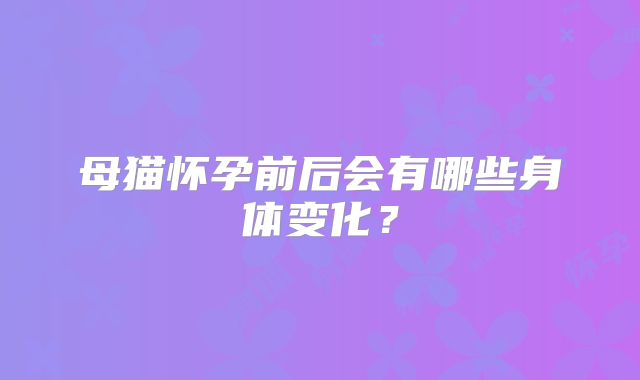 母猫怀孕前后会有哪些身体变化?
