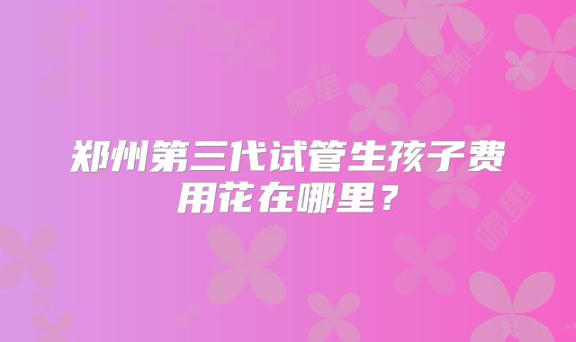 郑州第三代试管生孩子费用花在哪里?