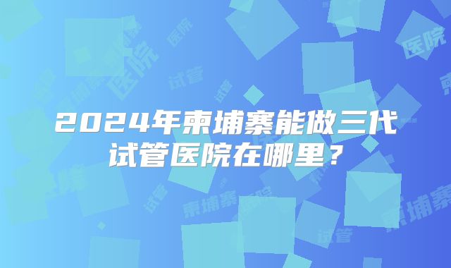 2024年柬埔寨能做三代试管医院在哪里？
