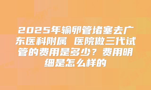 2025年输卵管堵塞去广东医科附属 医院做三代试管的费用是多少?费用明细是怎么样的