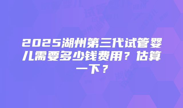 2025湖州第三代试管婴儿需要多少钱费用？估算一下？