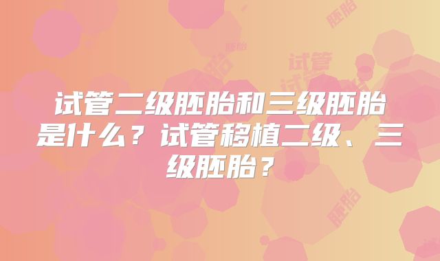 试管二级胚胎和三级胚胎是什么?试管移植二级、三级胚胎?