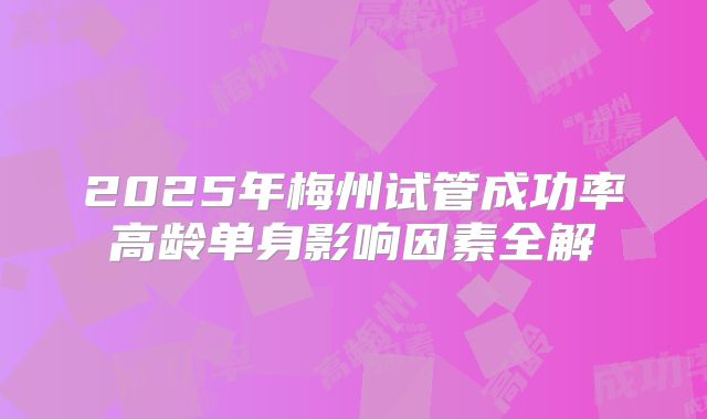 2025年梅州试管成功率高龄单身影响因素全解
