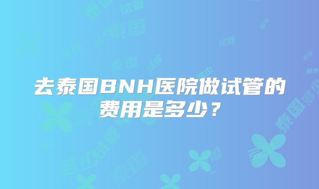 去泰国BNH医院做试管的费用是多少?