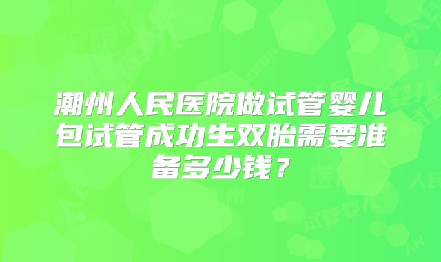 潮州人民医院做试管婴儿包试管成功生双胎需要准备多少钱？