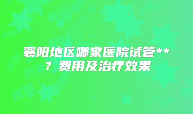 襄阳地区哪家医院试管**？费用及治疗效果