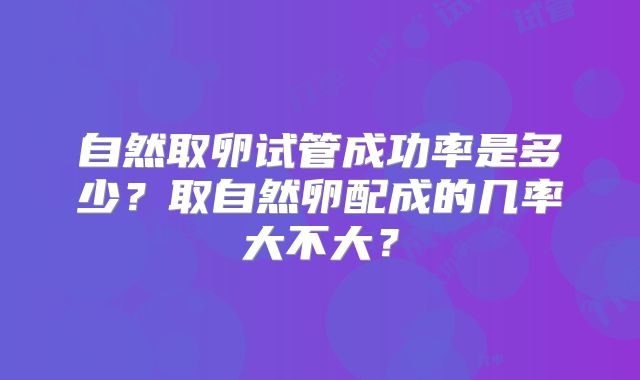 自然取卵试管成功率是多少?取自然卵配成的几率大不大?