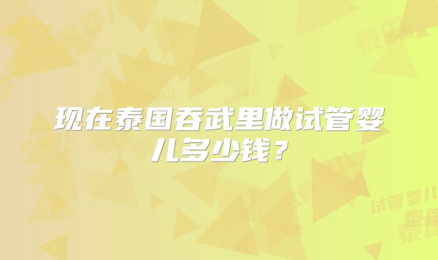 现在泰国吞武里做试管婴儿多少钱？