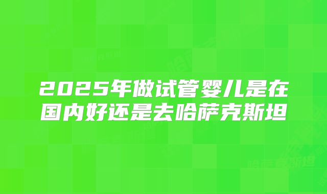 2025年做试管婴儿是在国内好还是去哈萨克斯坦