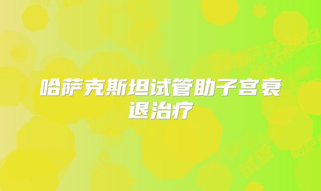 哈萨克斯坦试管助子宫衰退治疗