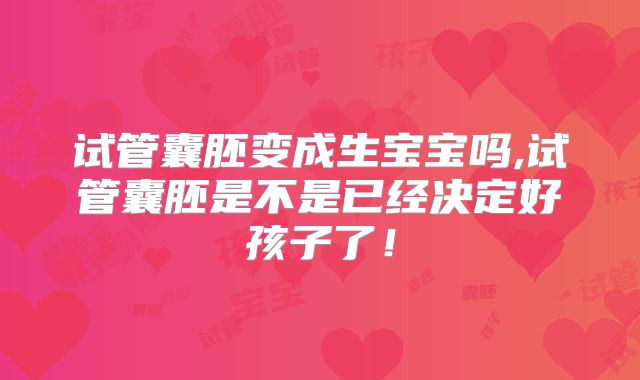 试管囊胚变成生宝宝吗,试管囊胚是不是已经决定好孩子了！