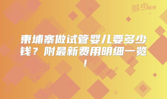 柬埔寨做试管婴儿要多少钱？附最新费用明细一览！