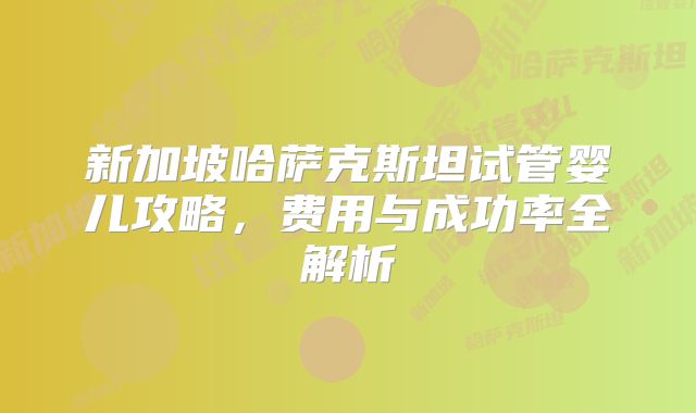 新加坡哈萨克斯坦试管婴儿攻略,费用与成功率全解析