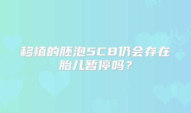移植的胚泡5CB仍会存在胎儿暂停吗？