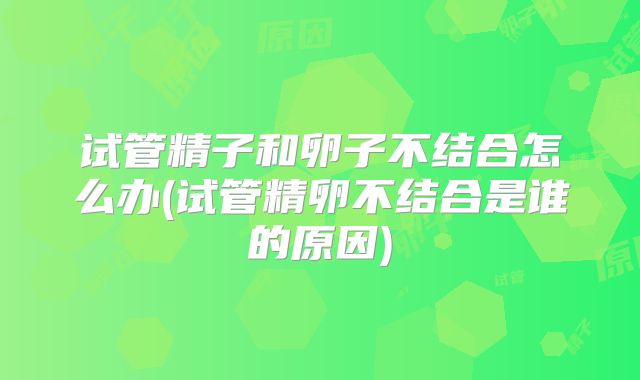 试管精子和卵子不结合怎么办(试管精卵不结合是谁的原因)
