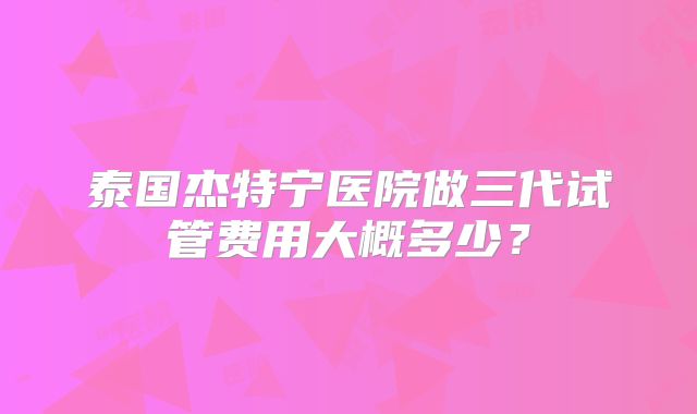 泰国杰特宁医院做三代试管费用大概多少？