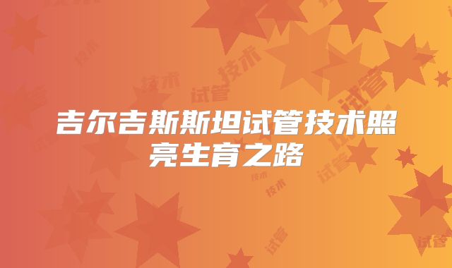吉尔吉斯斯坦试管技术照亮生育之路