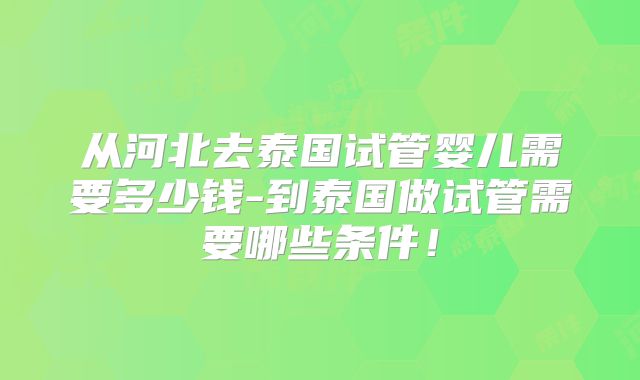 从河北去泰国试管婴儿需要多少钱-到泰国做试管需要哪些条件！