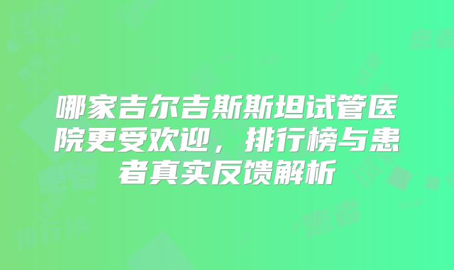 哪家吉尔吉斯斯坦试管医院更受欢迎，排行榜与患者真实反馈解析