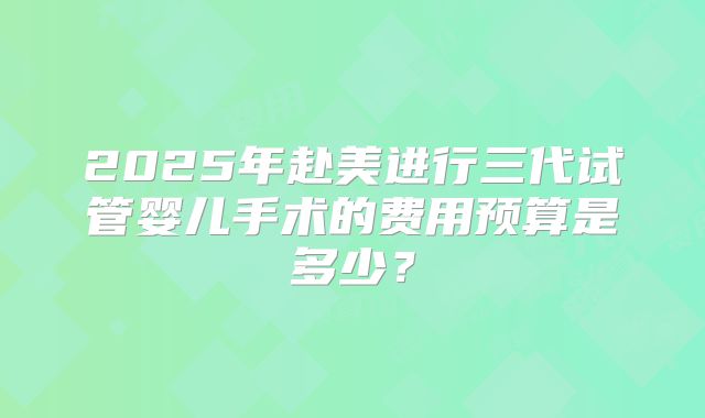 2025年赴美进行三代试管婴儿手术的费用预算是多少？